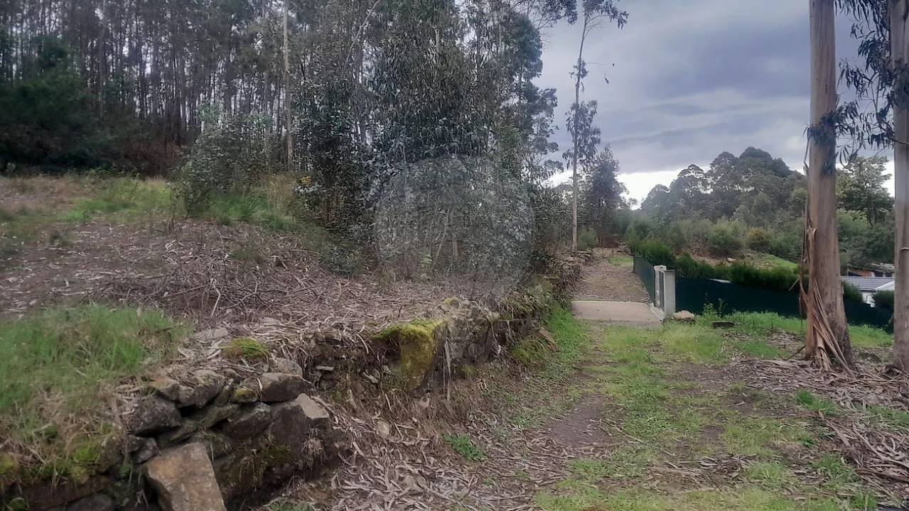 Terreno para Venda em Fermedo Foto 2
