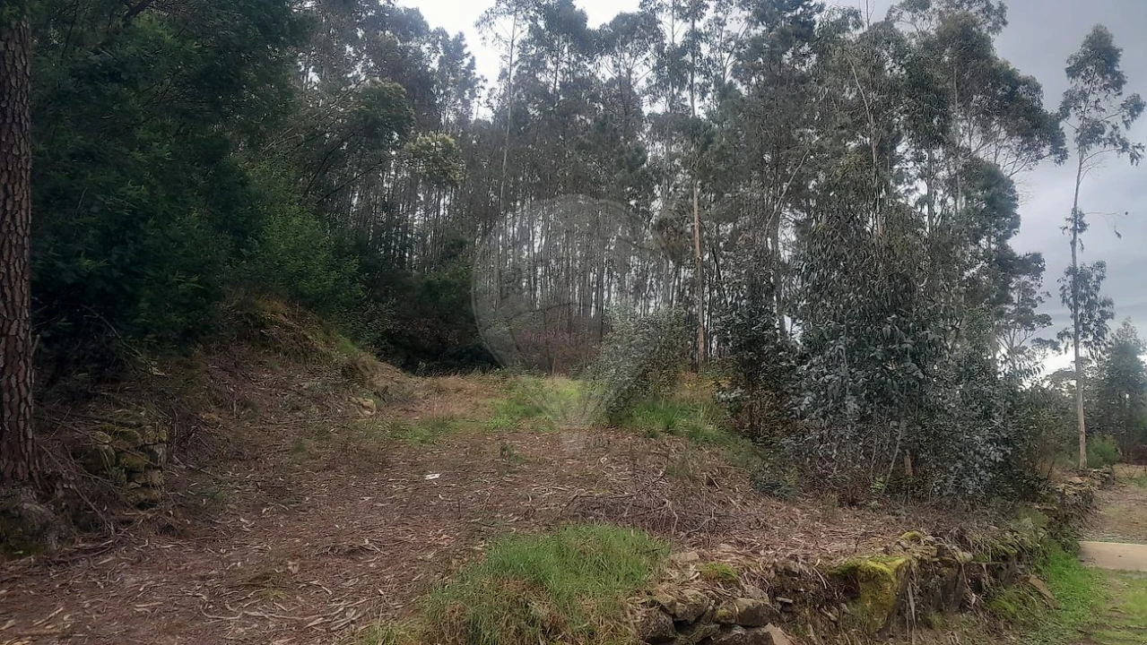 Terreno para Venda em Fermedo Foto 7