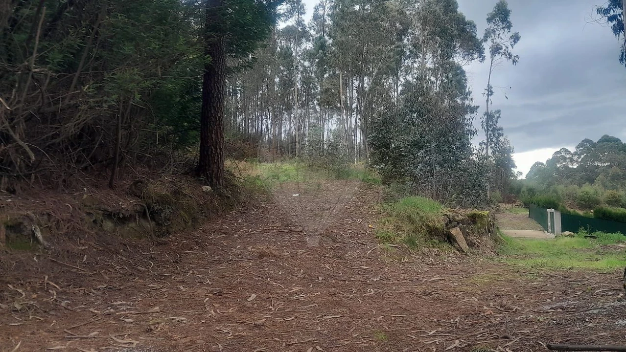 Terreno para Venda em Fermedo Foto 1