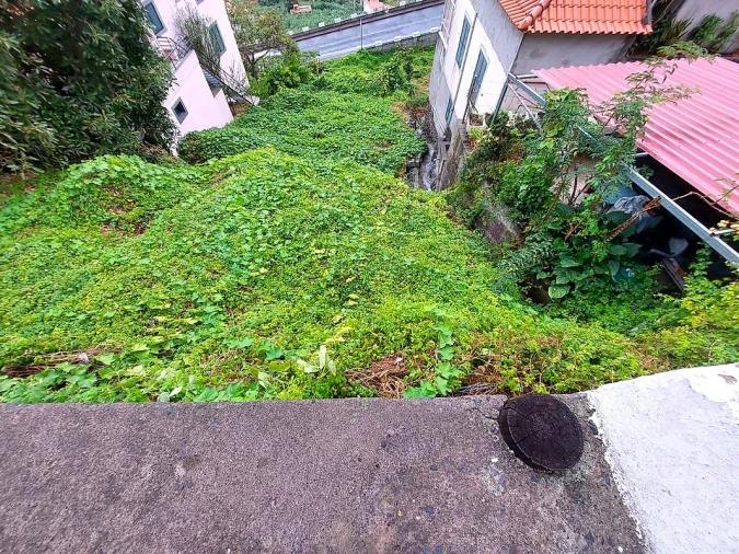 Terreno para Venda em Campanario Foto 2