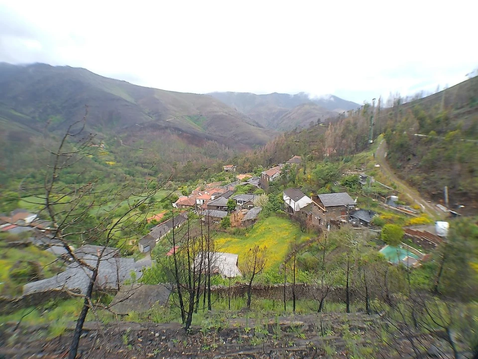 Moradia T1 para Venda em São Martinho das Moitas e Covas do Rio Foto 5