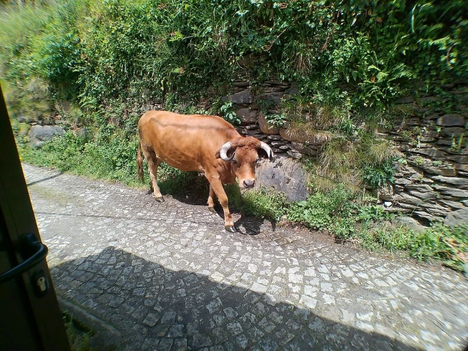 Moradia T1 para Venda em São Martinho das Moitas e Covas do Rio Foto 15