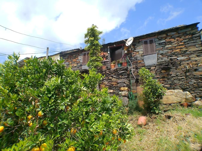 Moradia T1 para Venda em São Martinho das Moitas e Covas do Rio Foto 11