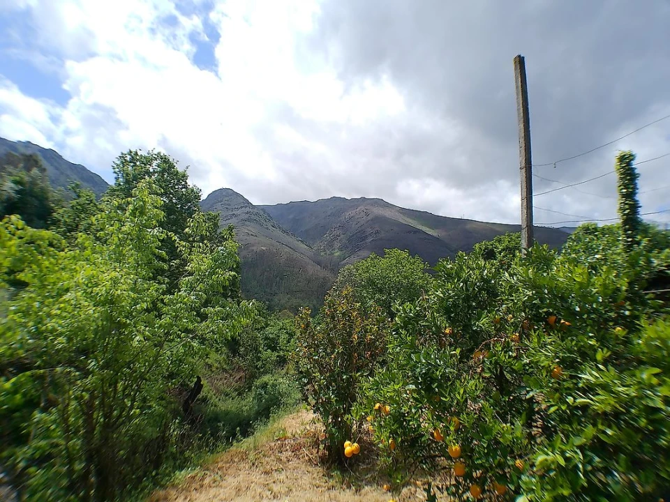 Moradia T1 para Venda em São Martinho das Moitas e Covas do Rio Foto 12