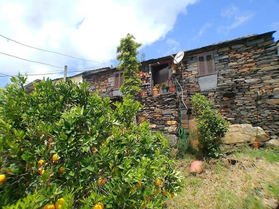 Moradia T1 para Venda em São Martinho das Moitas e Covas do Rio Foto 11