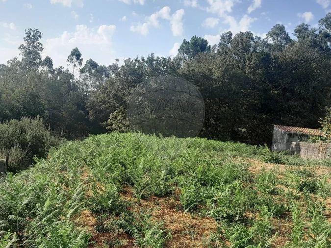 Terreno para Venda em Argoncilhe Foto 6