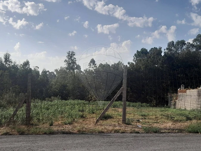 Terreno para Venda em Argoncilhe Foto 4
