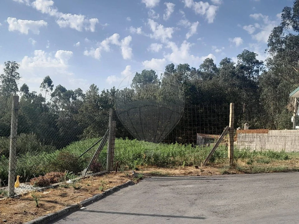 Terreno para Venda em Argoncilhe Foto 7