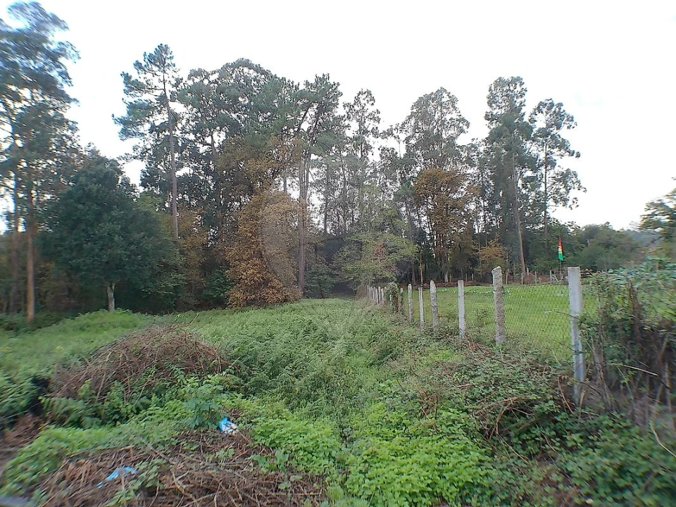 Moradia T4 para Venda em Argoncilhe Foto 23