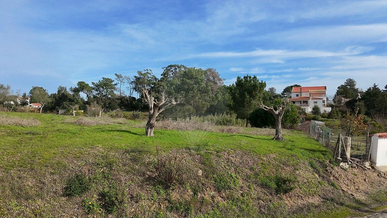 Terreno para Venda em Vale da Pedra Foto 4