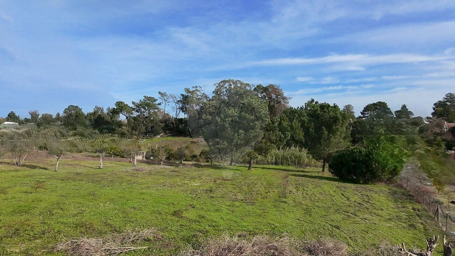 Terreno para Venda em Vale da Pedra Foto 20