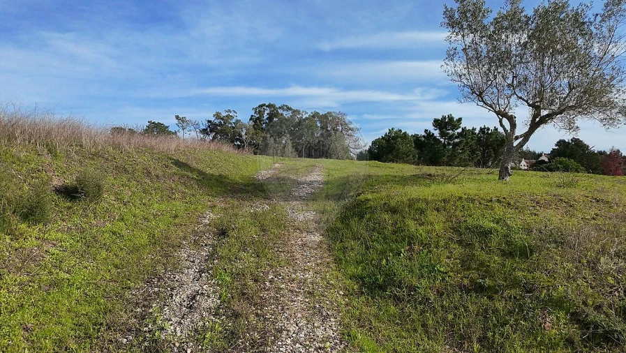 Terreno para Venda em Vale da Pedra Foto 5