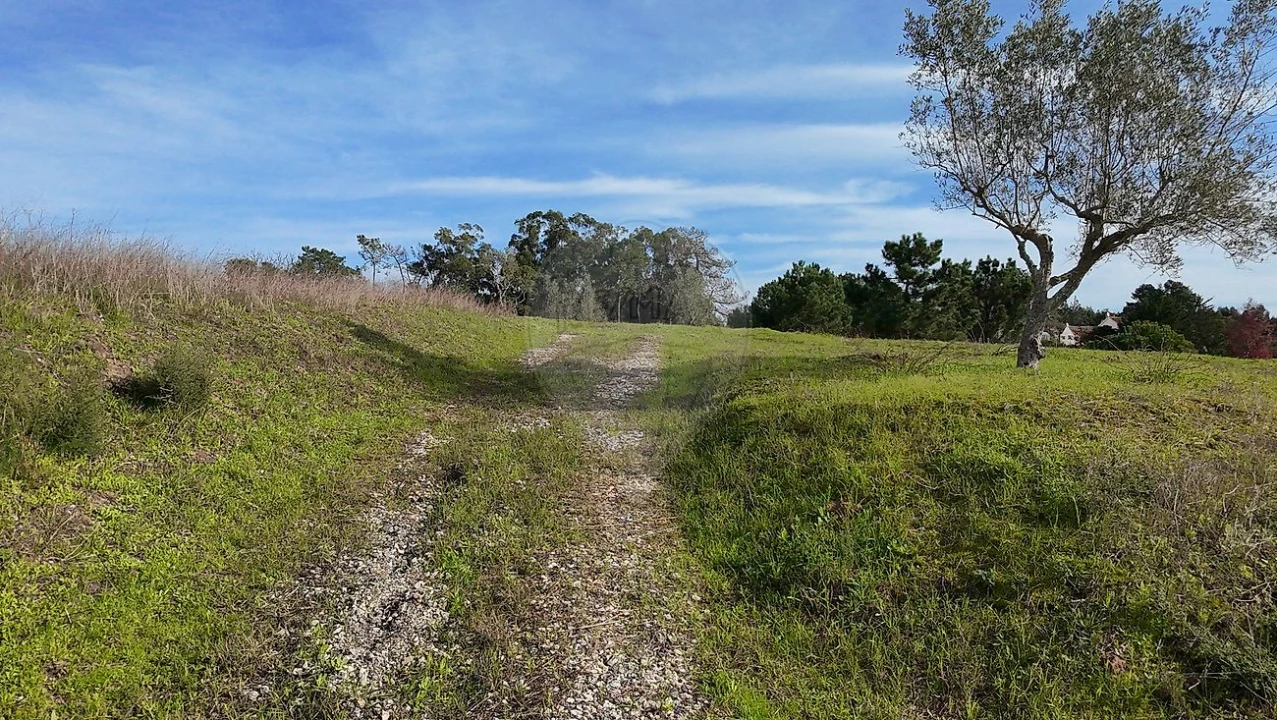 Terreno para Venda em Vale da Pedra Foto 5
