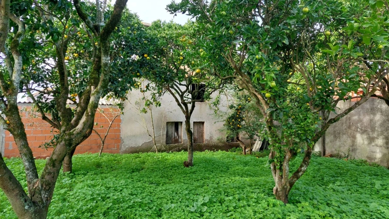 Moradia T2 para Venda em Monte Real e Carvide Foto 5