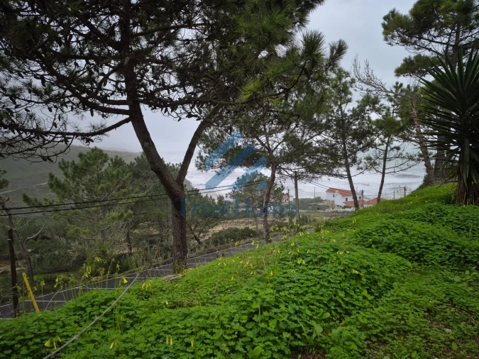 Apartamento T1 para Venda em São João das Lampas e Terrugem Foto 33