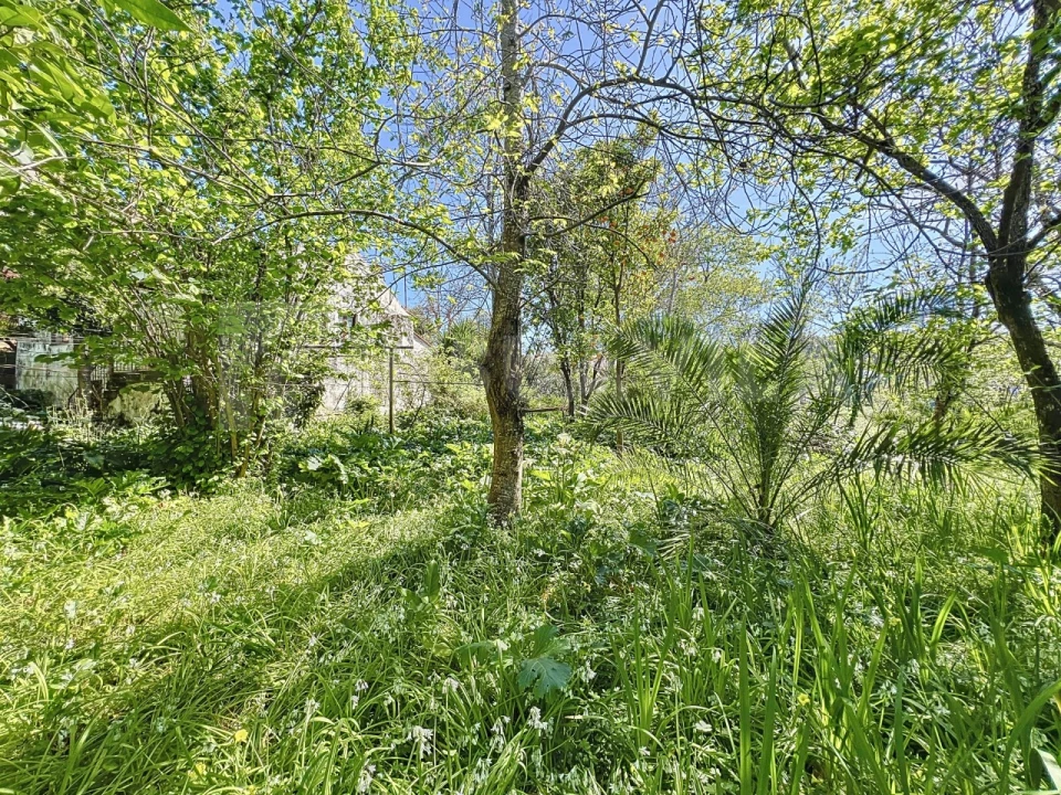 Moradia T3 para Venda em Seixas Foto 10