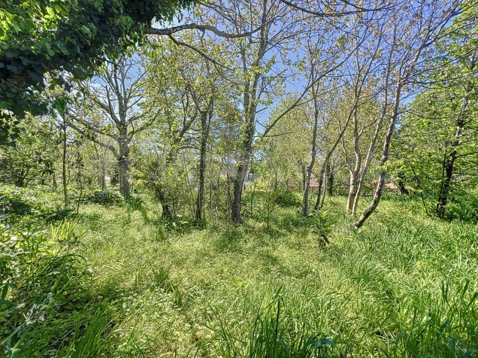 Moradia T3 para Venda em Seixas Foto 11