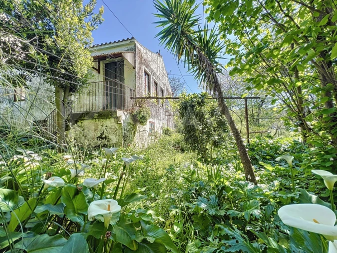 Moradia T3 para Venda em Seixas Foto 8