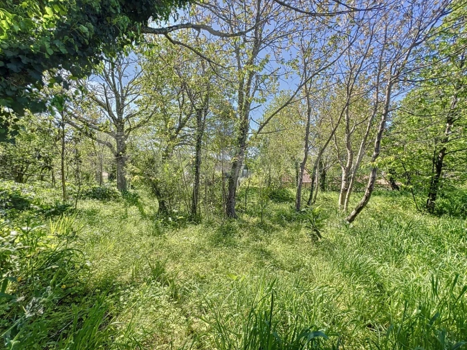 Moradia T3 para Venda em Seixas Foto 11