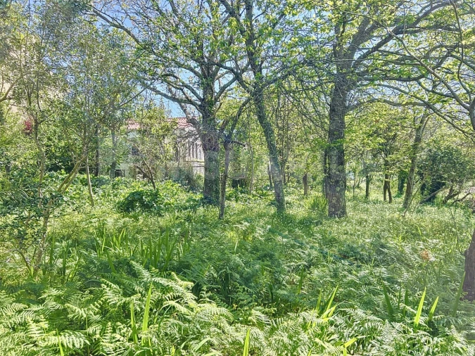 Moradia T3 para Venda em Seixas Foto 15