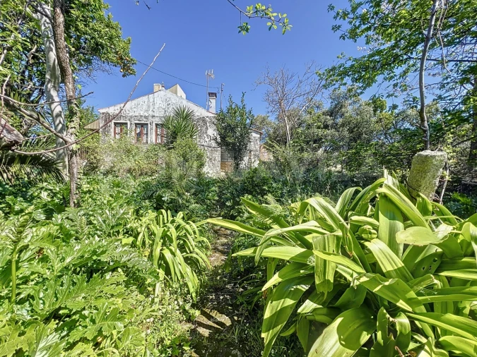 Moradia T3 para Venda em Seixas Foto 7