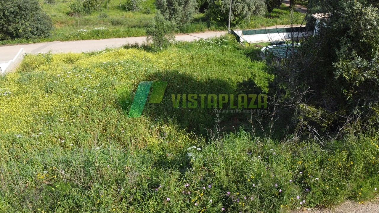 Terreno para Venda em Mexilhoeira Grande Foto 4