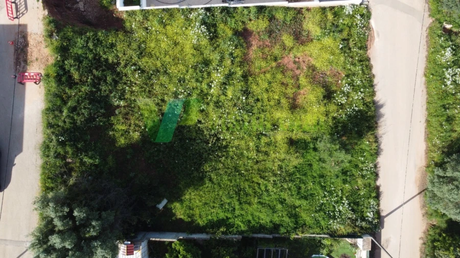 Terreno para Venda em Mexilhoeira Grande Foto 3