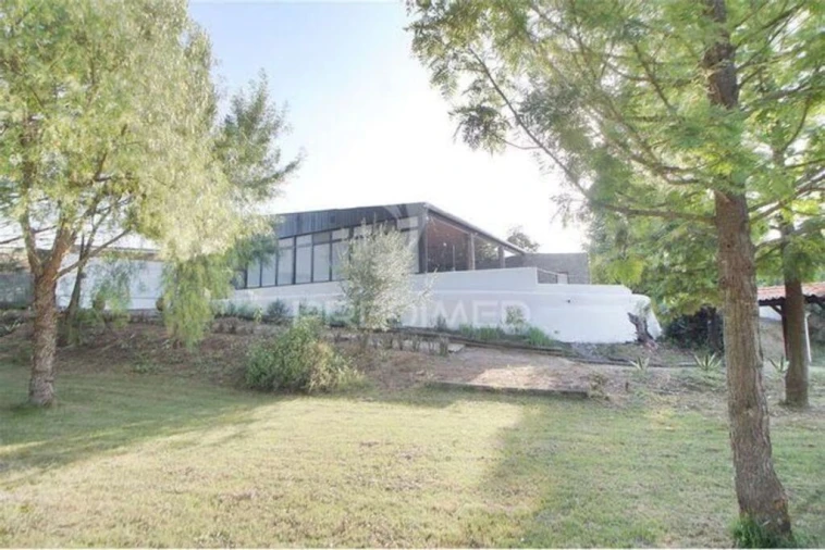 Quinta T3 para Venda em Alvega e Concavada Foto 14