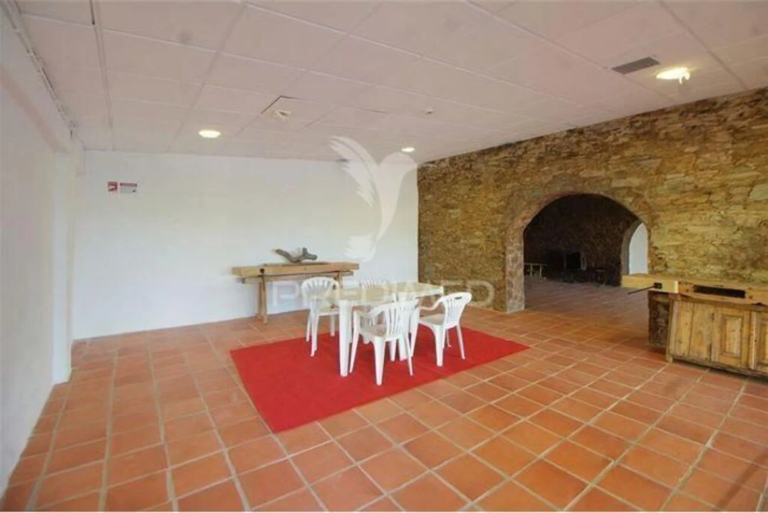 Quinta T3 para Venda em Alvega e Concavada Foto 19