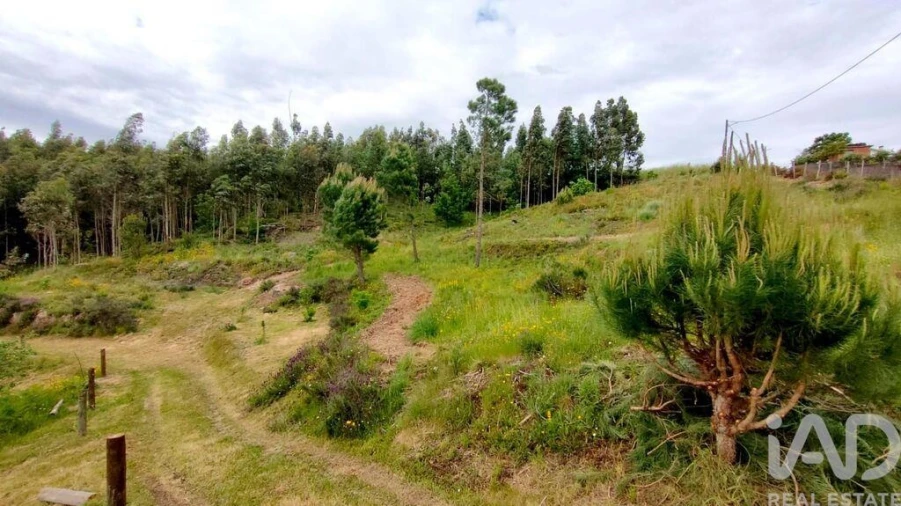 Quinta T5 para Venda em Ferreiros do Dão Foto 9