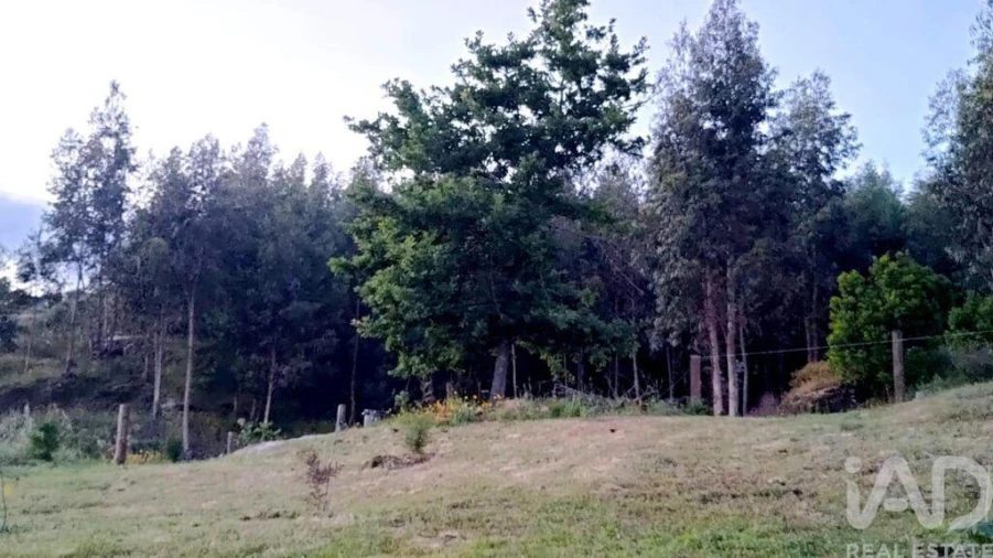 Quinta T5 para Venda em Ferreiros do Dão Foto 11