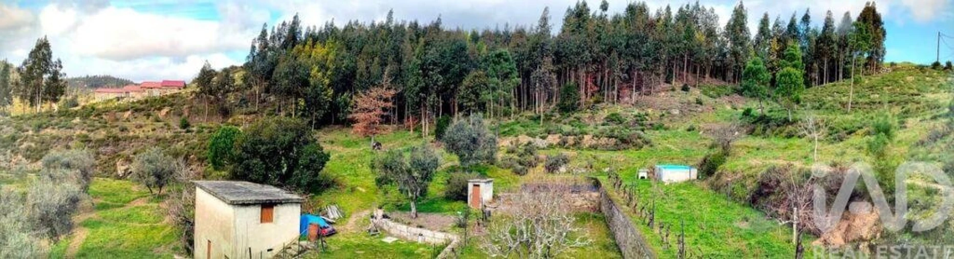 Quinta T5 para Venda em Ferreiros do Dão Foto 2