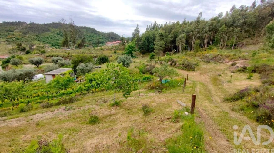 Quinta T5 para Venda em Ferreiros do Dão Foto 3