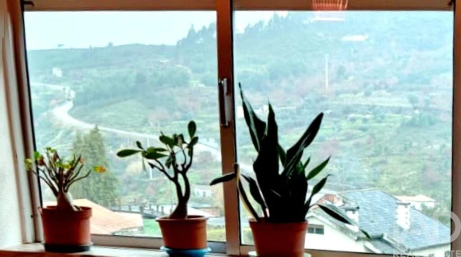Quinta T5 para Venda em Ferreiros do Dão Foto 19