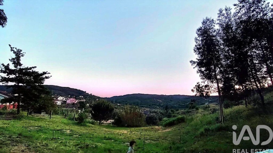 Quinta T5 para Venda em Ferreiros do Dão Foto 5