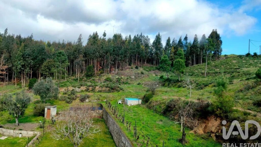 Quinta T5 para Venda em Ferreiros do Dão Foto 14