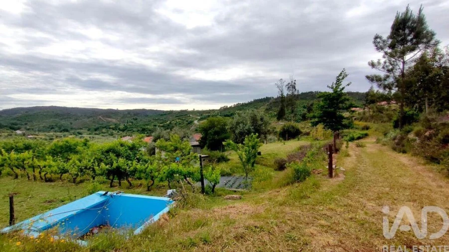 Quinta T5 para Venda em Ferreiros do Dão Foto 12