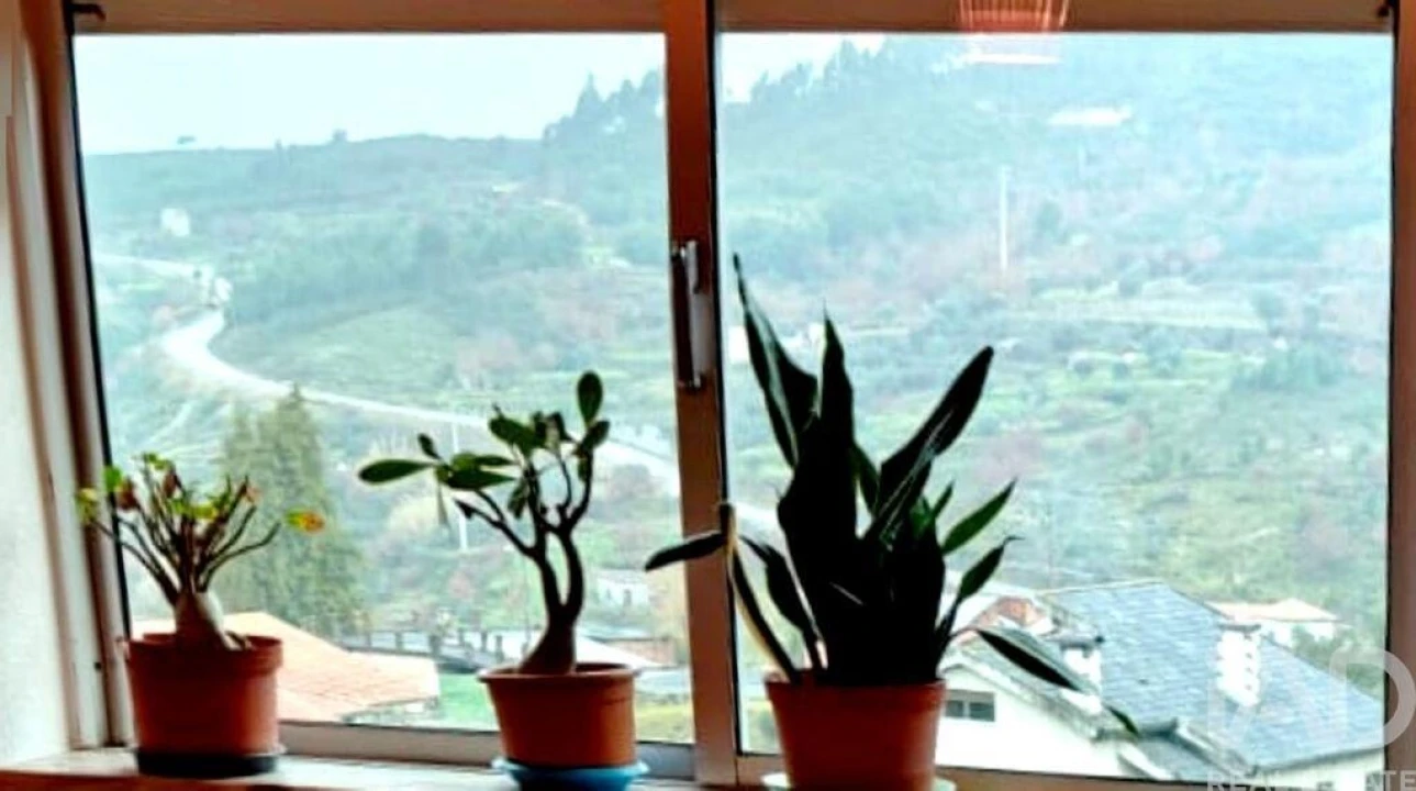 Quinta T5 para Venda em Ferreiros do Dão Foto 19