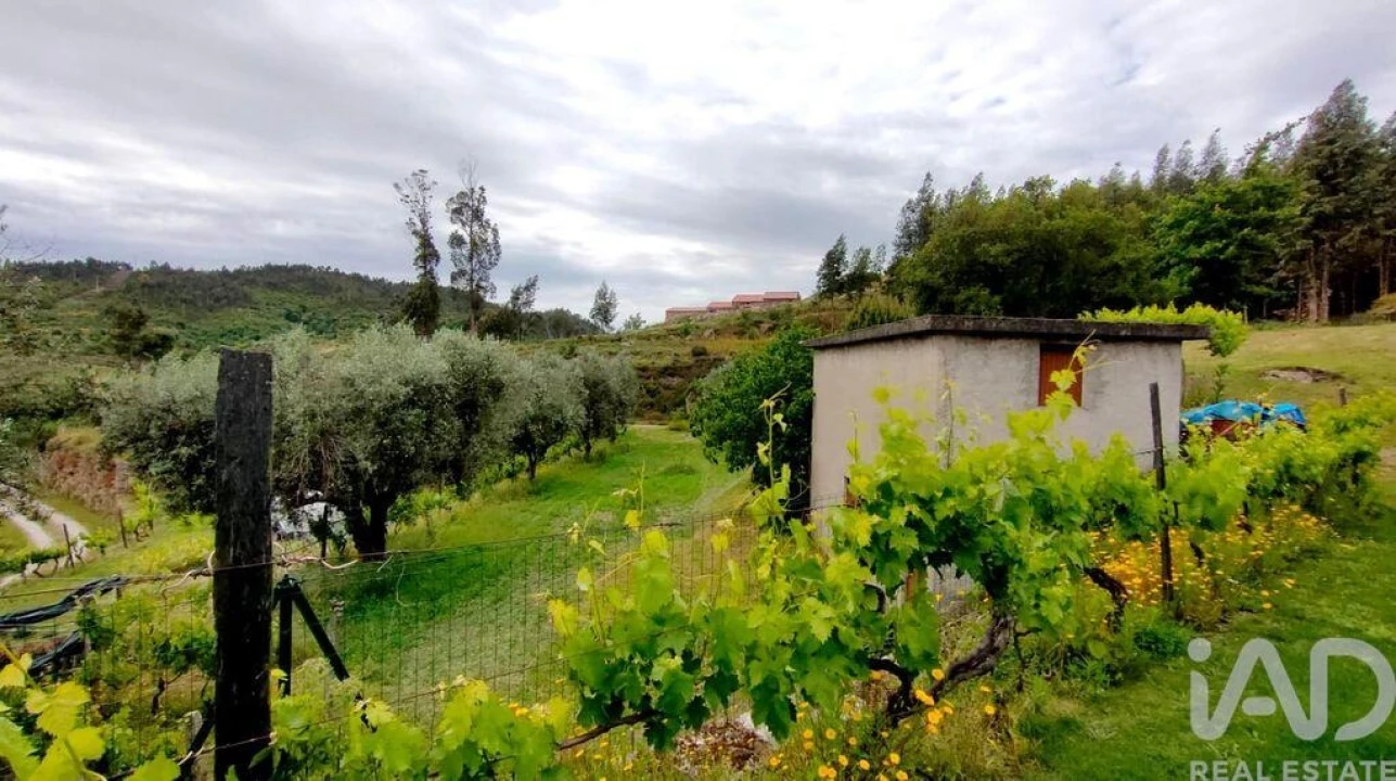 Quinta T5 para Venda em Ferreiros do Dão Foto 10