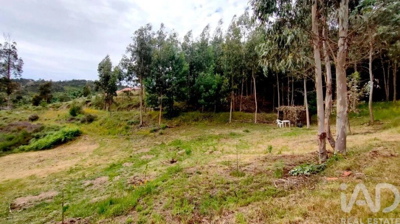 Quinta T5 para Venda em Ferreiros do Dão Foto 15