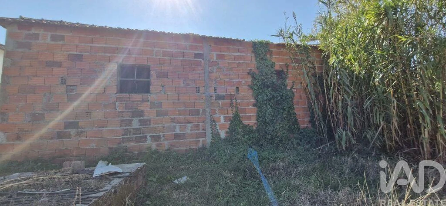 Armazém para Venda em Alcobertas Foto 3