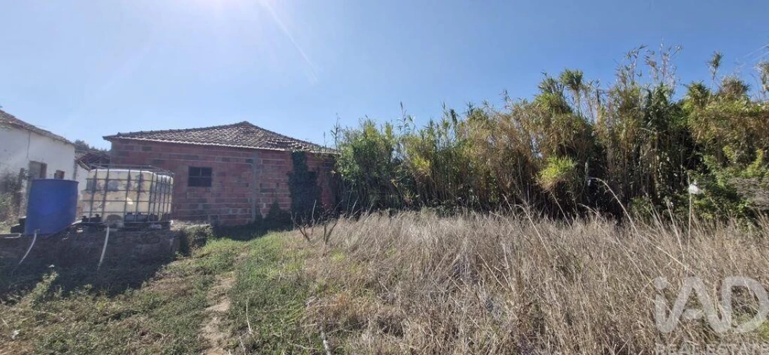 Armazém para Venda em Alcobertas Foto 9