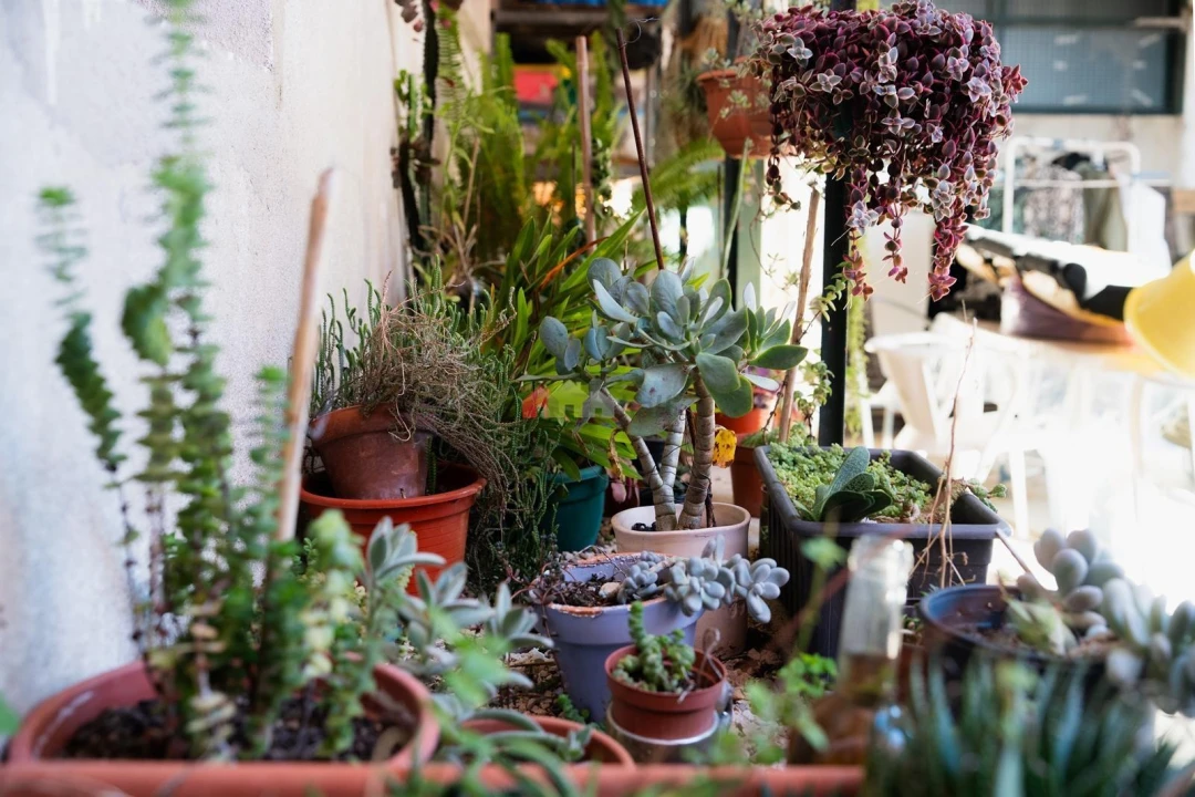 Moradia T5 para Venda em Ramada e Caneças Foto 45