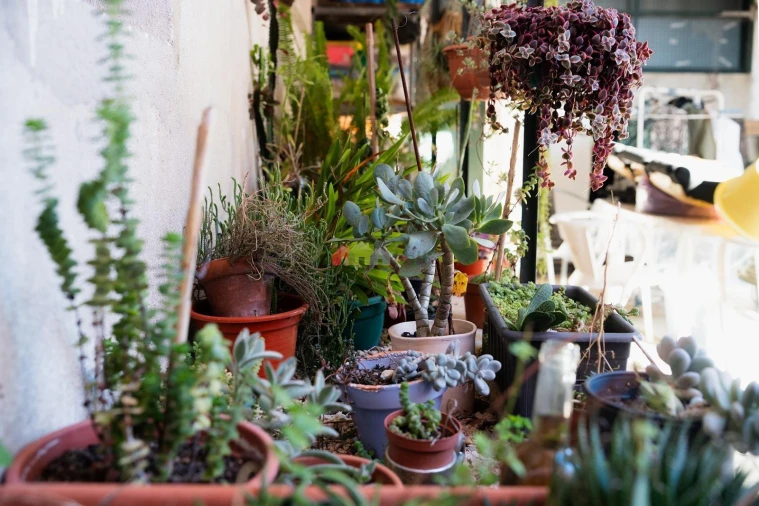 Moradia T5 para Venda em Ramada e Caneças Foto 45