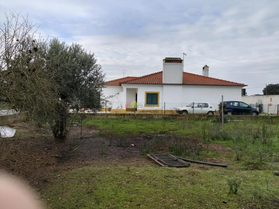 Terreno para Venda em Foros de Vale de Figueira Foto 9