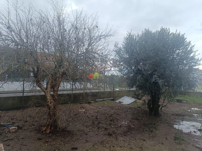 Terreno para Venda em Foros de Vale de Figueira Foto 5