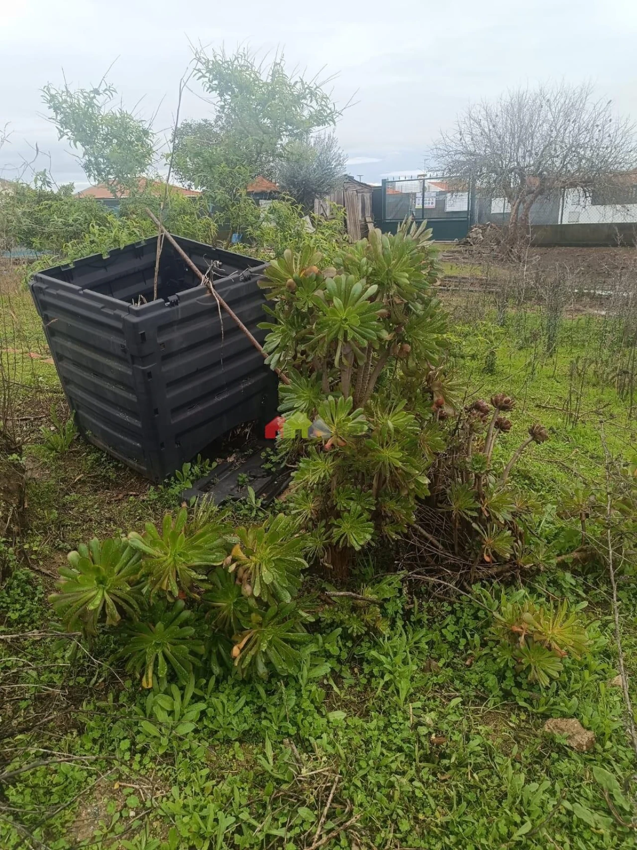 Terreno para Venda em Foros de Vale de Figueira Foto 8