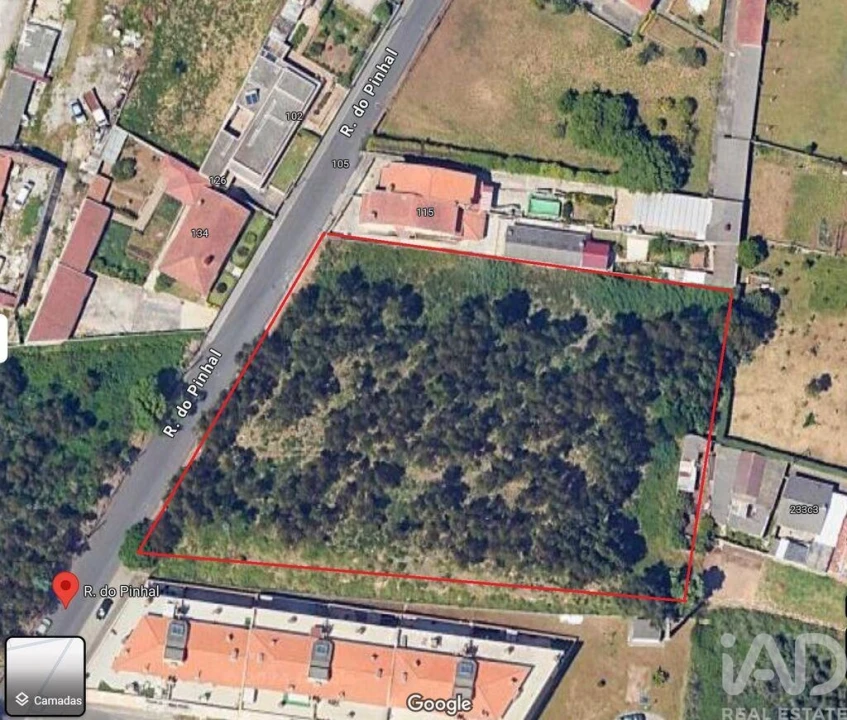 Terreno para Venda em Canelas Foto 10