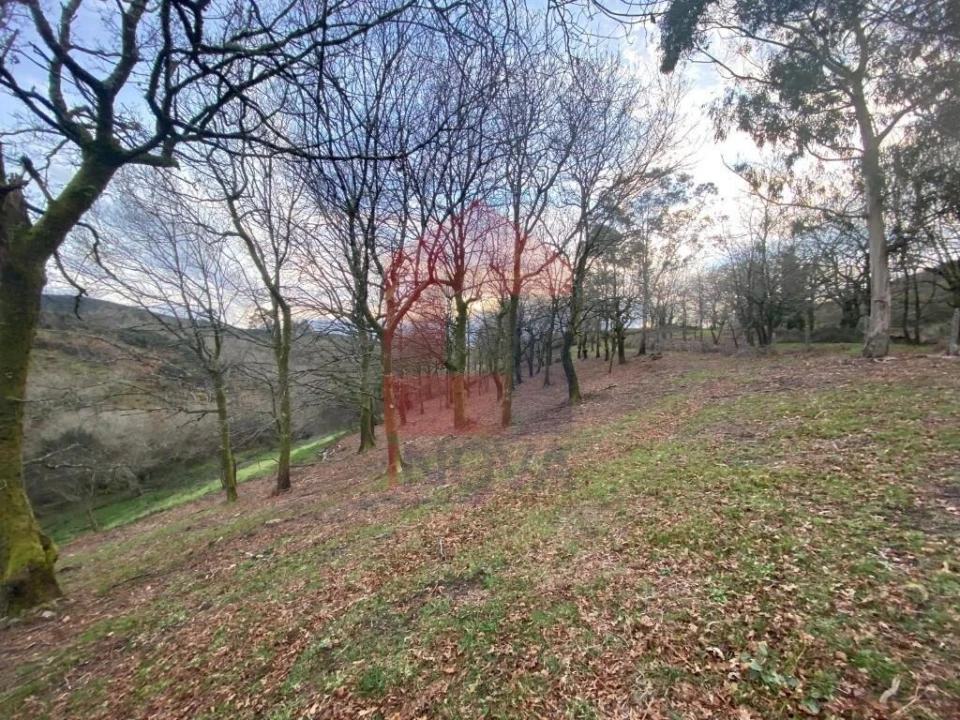 Terreno para Venda em Azias Foto 23