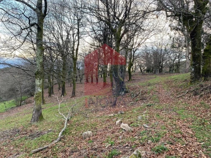 Terreno para Venda em Azias Foto 15